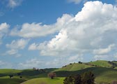North Marin Hills